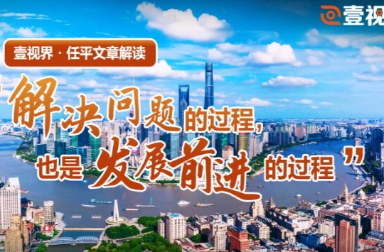 壹视界·任平文章解读丨“解决问题的过程，也是发展前进的过程”