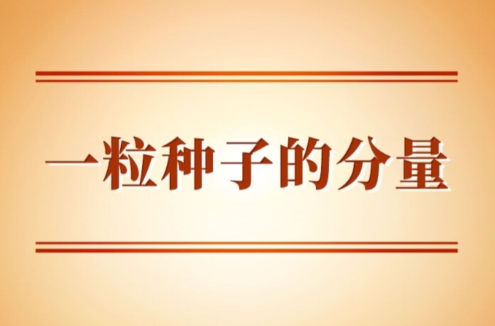 学习手记｜一粒种子的分量