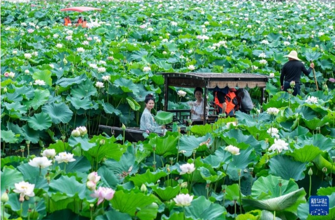 好评中国丨盛夏文旅“热”，共绘消费新图景