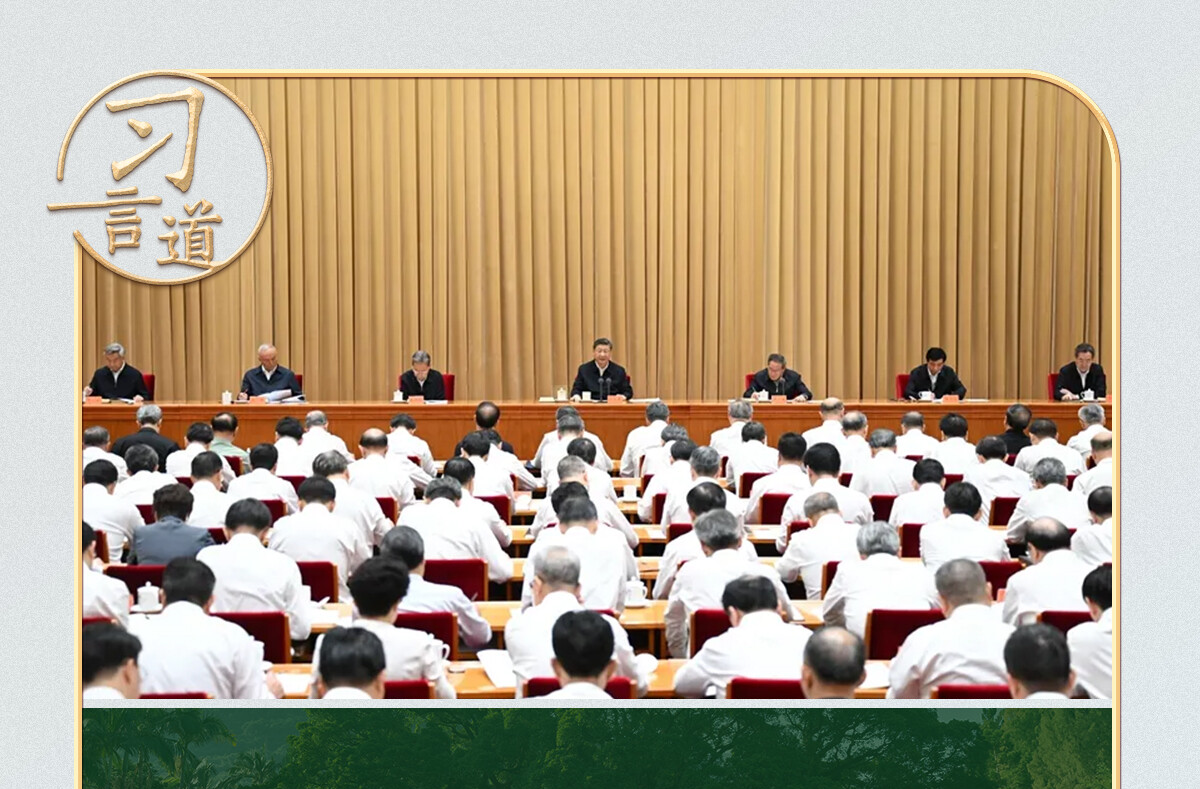 习言道丨一棵大榕树，尽显习近平的城市理念