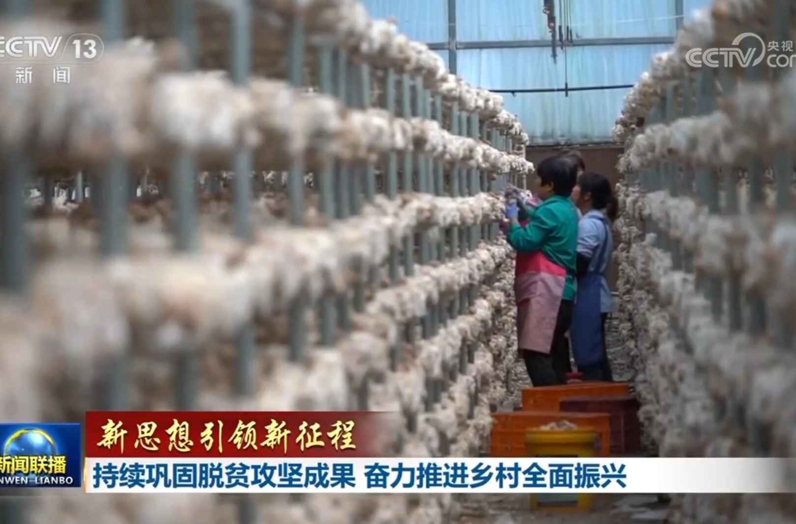【新思想引领新征程】持续巩固脱贫攻坚成果 奋力推进乡村全面振兴