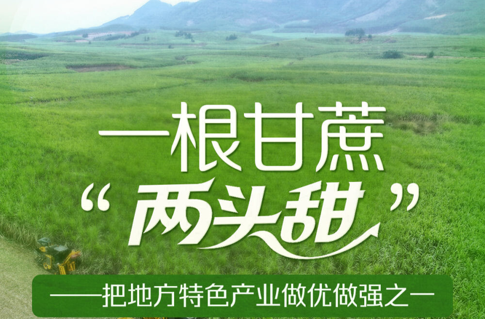 习近平总书记关切事｜一根甘蔗“两头甜”——把地方特色产业做优做强之一