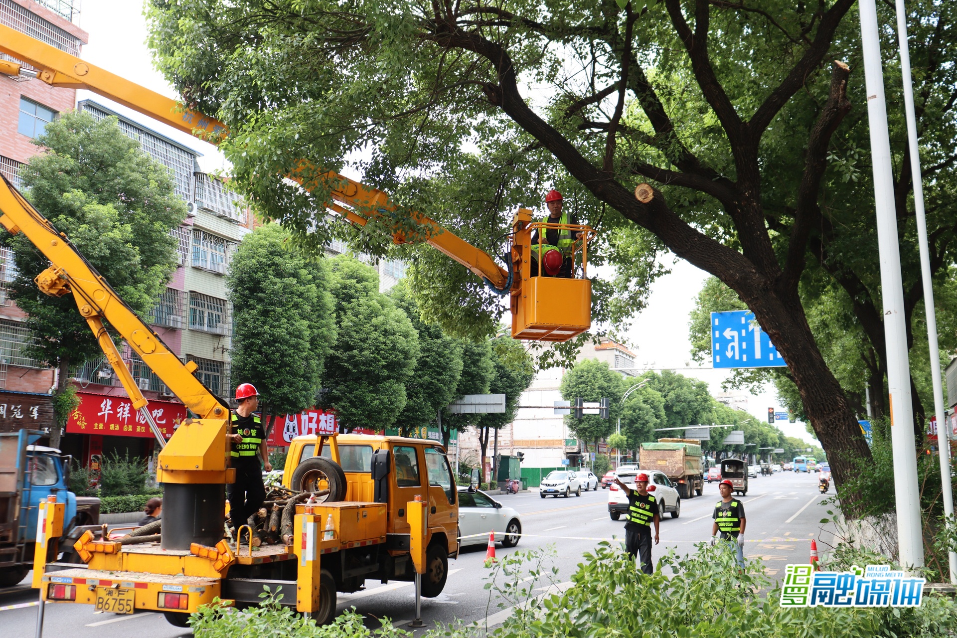汨罗城管联合行动解民忧：修剪树枝让路灯“重见光明”