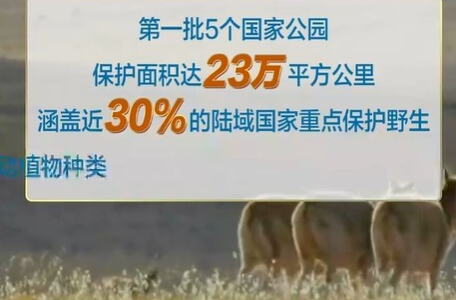 联播+｜万物共生 中国主张