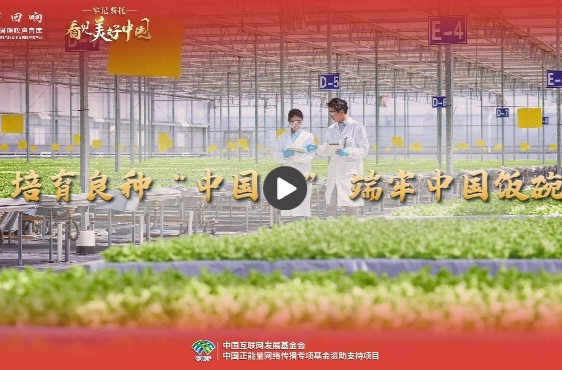 【牢记嘱托·看见美好中国】培育良种“中国芯” 端牢中国饭碗