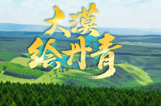近观“两山”丨大漠绘丹青