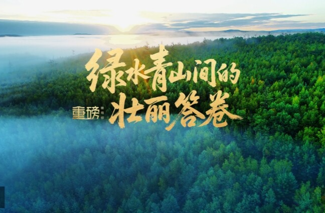 重磅微视频丨绿水青山间的壮丽答卷