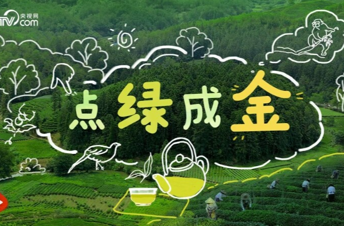 点绿成金