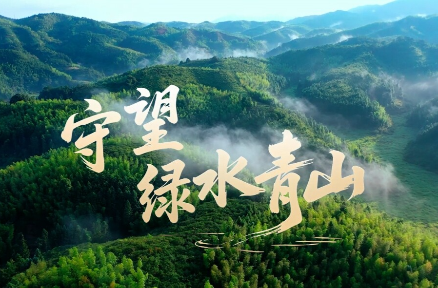 微视频｜守望绿水青山