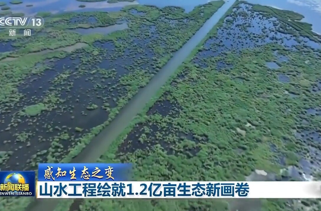 感知生态之变丨山水工程绘就1.2亿亩生态新画卷