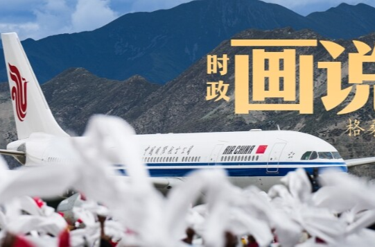 时政画说丨格桑花开