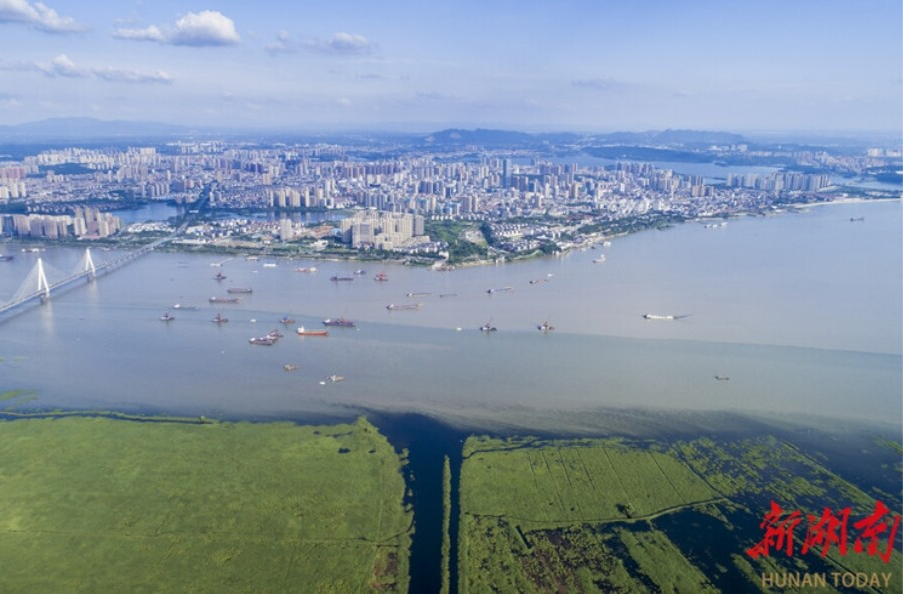 大湖新记丨护住碧水 换得金山——湖南大湖的生态答卷与时代新韵