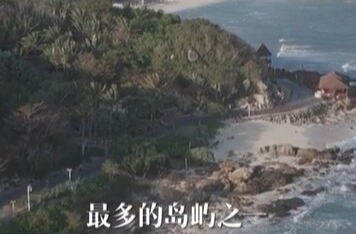 幸会中国 | 守护珊瑚之美，共筑“海洋命运共同体”