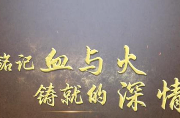 历史的回响｜铭记血与火铸就的深情