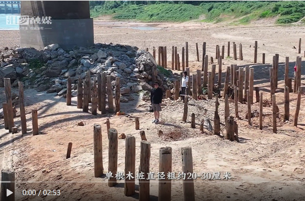 【学习强国】红色故事丨汨罗江木桩见证的民族血泪
