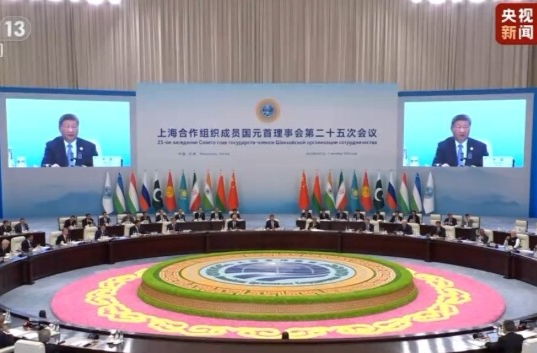 习近平：携手打造立己达人、美美与共、和合共生的文明百花园