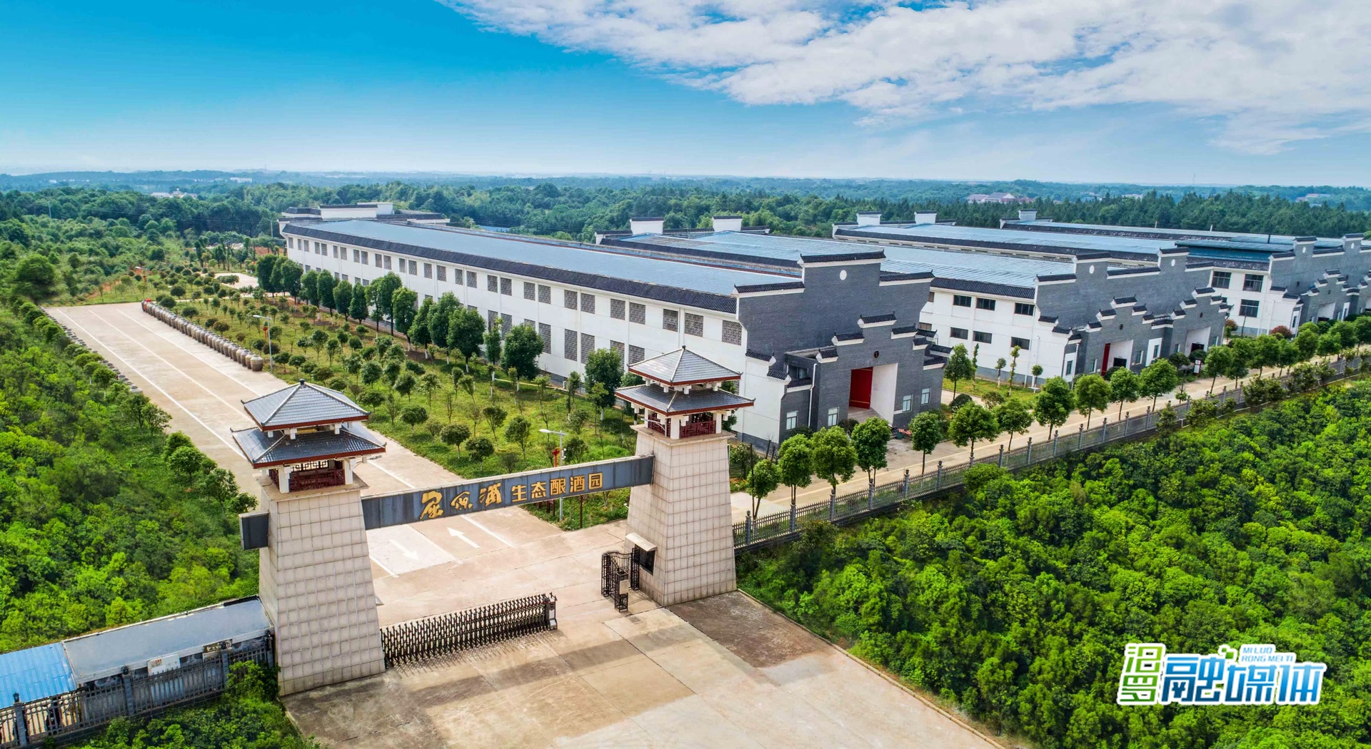 每滴屈原酒都活出自己的性子