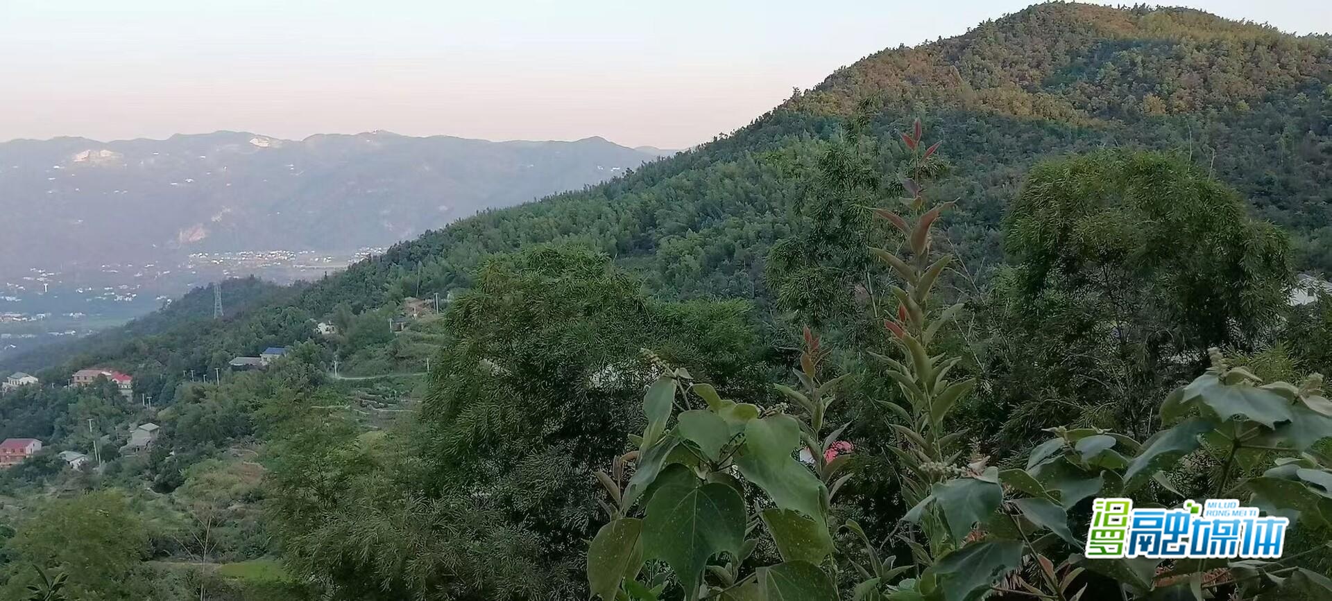 亮了！乡贤反哺，200盏路灯点亮影珠山村