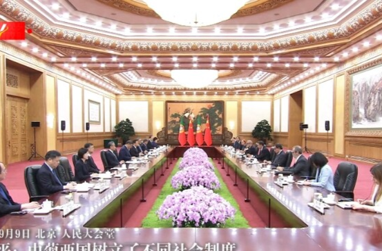 独家视频丨习近平：中葡两国树立了不同社会制度 不同国情国家相互尊重 互利共赢的典范