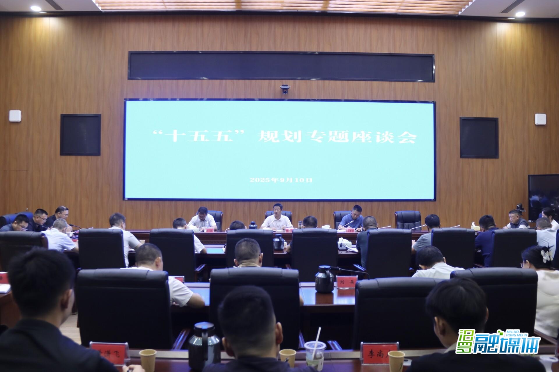 林恒求主持召开“十五五”规划专题座谈会