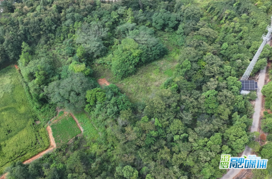 【新湖南】从此汨罗桃林寺镇只余镇，寻访桃林古寺遗址背后的抗日记忆