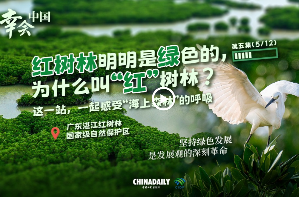 幸会中国 | 中国海上绿色“长城”，见证绿色发展的深刻革命