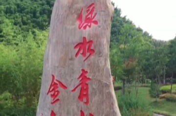 第一视点丨不负青山 金山自来