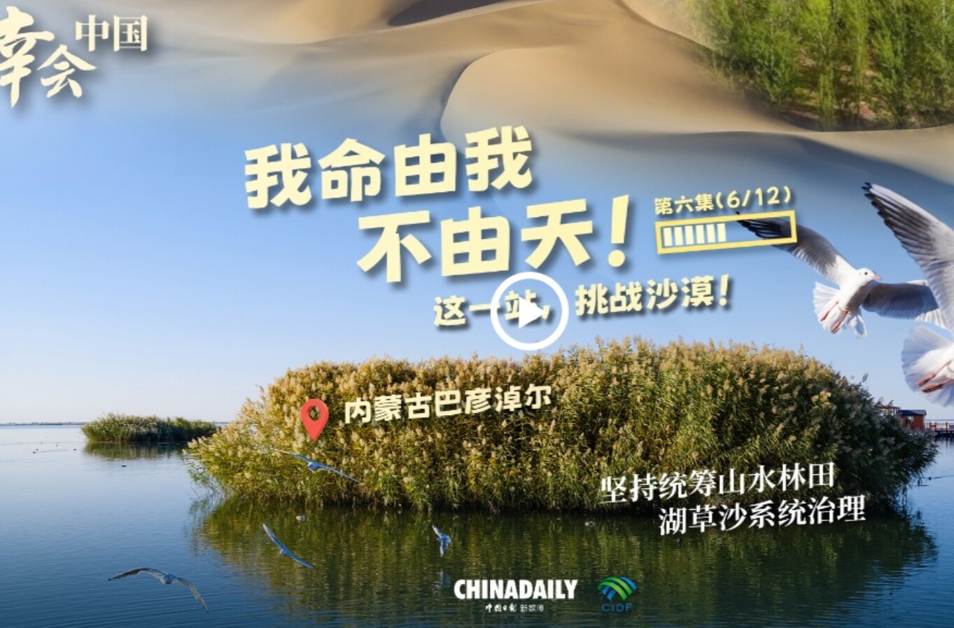 幸会中国 | 荒漠变林海，三北工程绘出生态奇迹