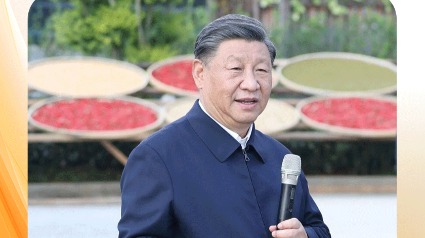 时政微观察丨丰收时节感悟总书记的“三农”情怀