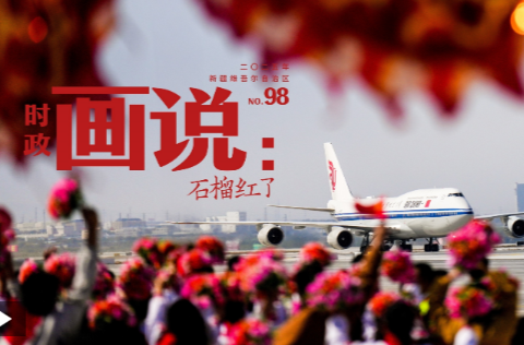 时政画说丨石榴红了