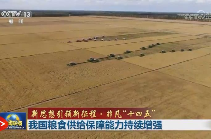 【新思想引领新征程·非凡“十四五”】我国粮食供给保障能力持续增强