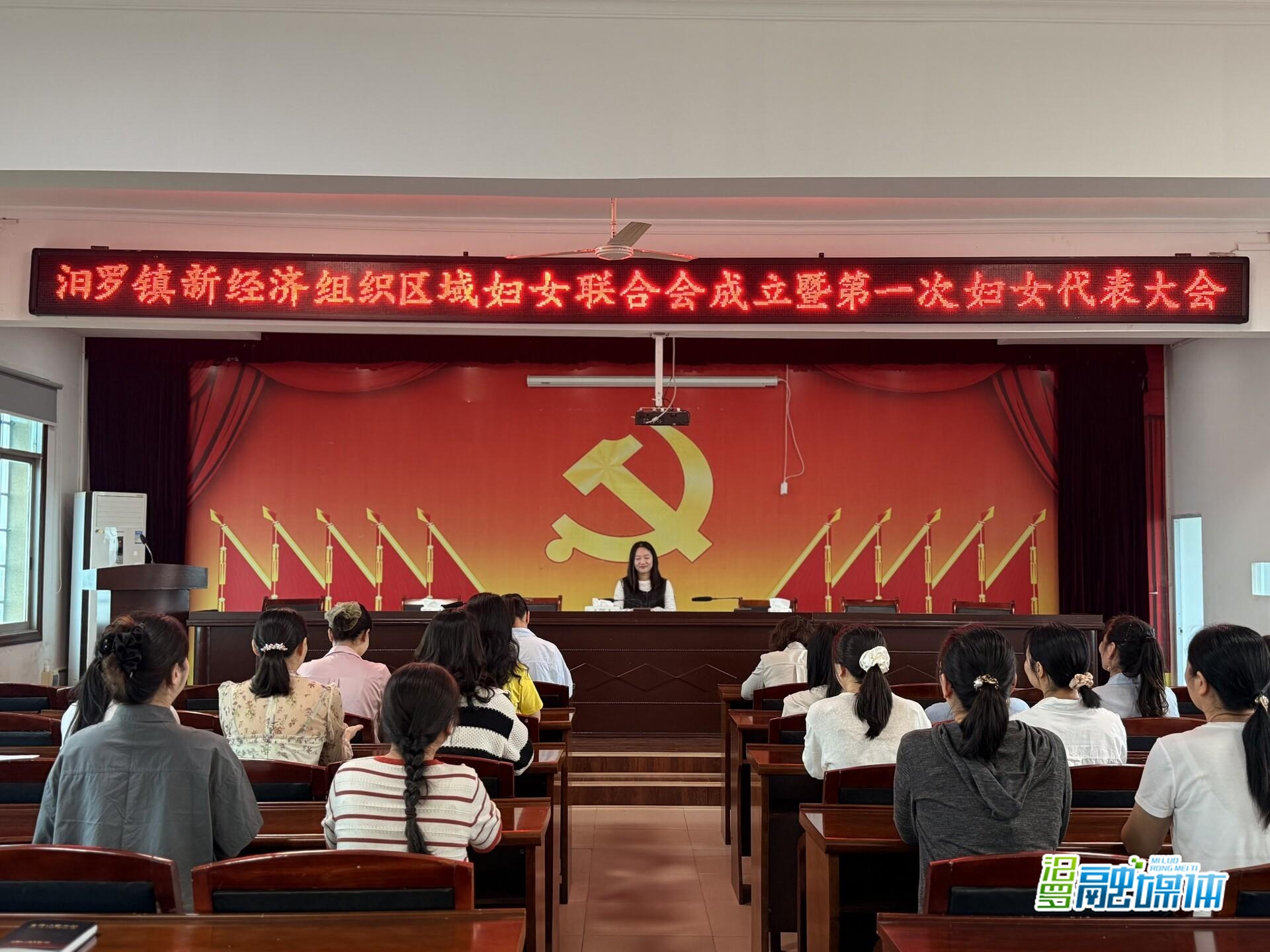 凝“新”聚力绽芳华 汨罗镇“三新”领域妇联组织揭牌成立