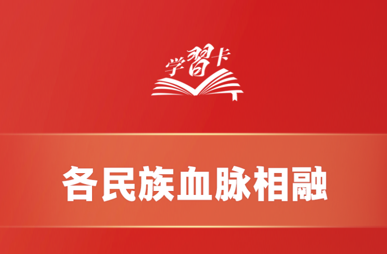 学习卡丨这是中华儿女最深沉、最持久的情感所系