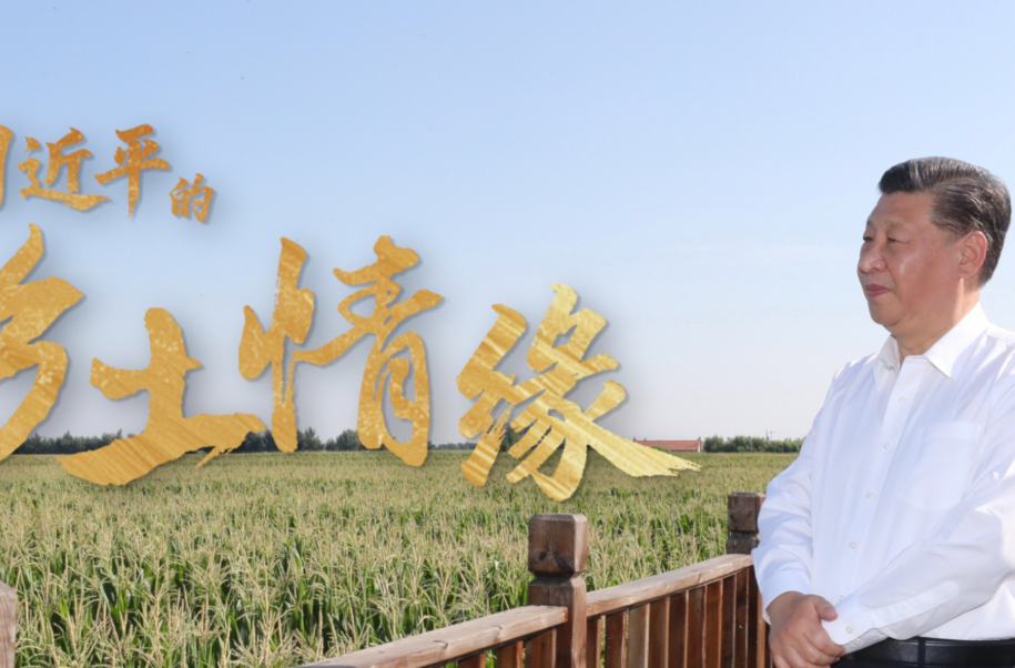 习近平的乡土情缘
