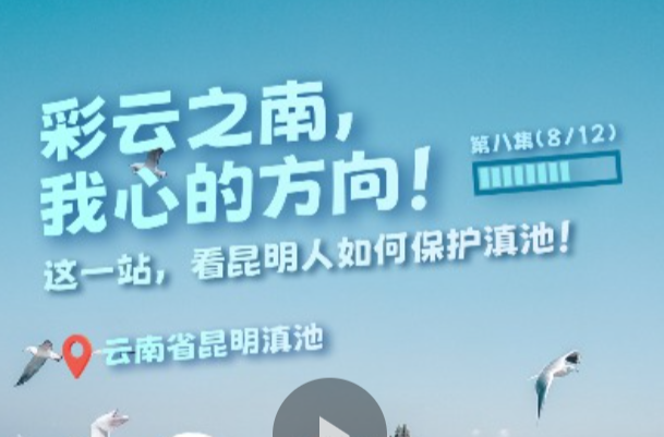 幸会中国｜坚持把美丽中国建设转化为全民行动，守护高原明珠！