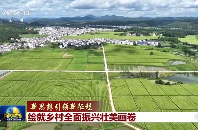 新思想引领新征程丨绘就乡村全面振兴壮美画卷