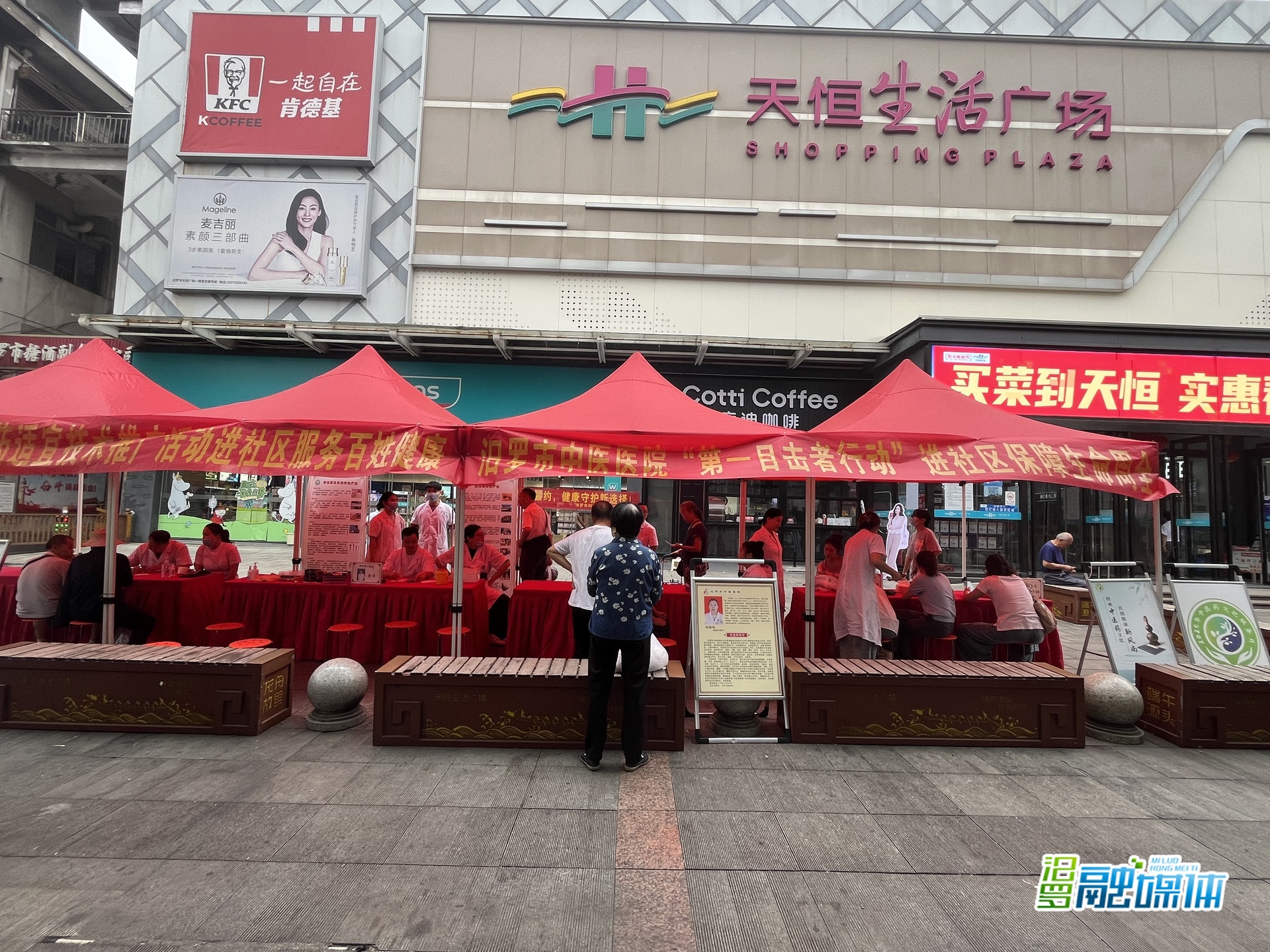 守护群众健康，汨罗中医药惠民服务“零距离”