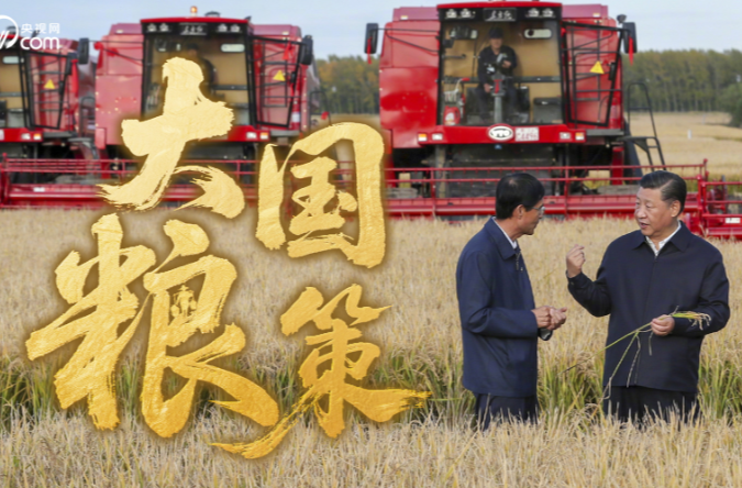 大国粮策