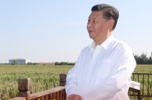 时习之｜粮食安全：习近平心中的头等大事