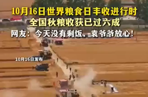 10月16日世界粮食日丰收进行时 全国秋粮收获已过六成