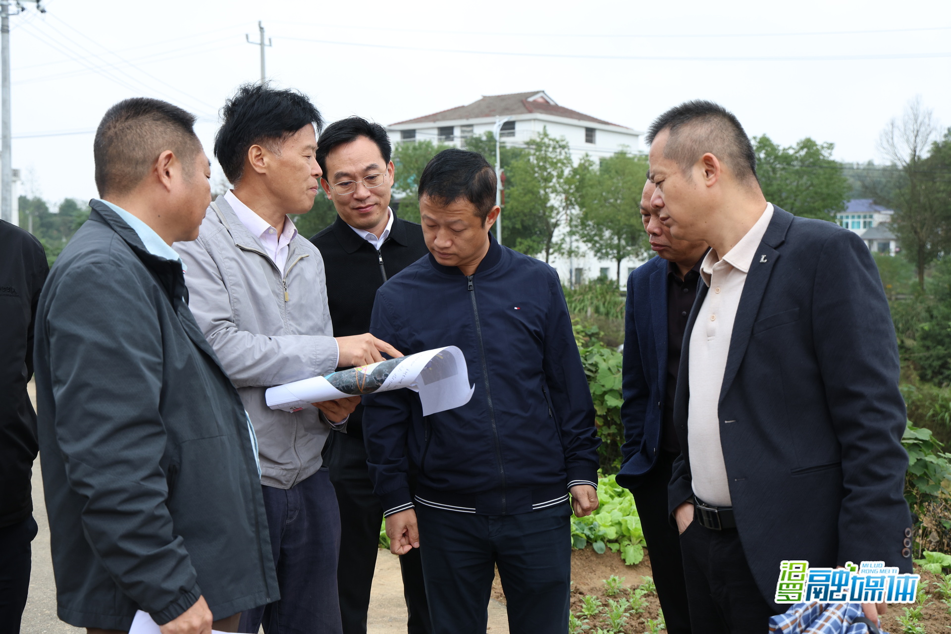 林恒求到长乐镇调研