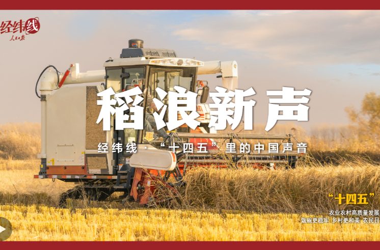 经纬线·稻浪新声