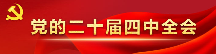 党的二十届四中全会