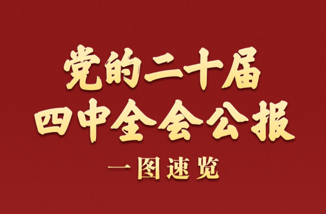 学习新语｜党的二十届四中全会公报一图速览