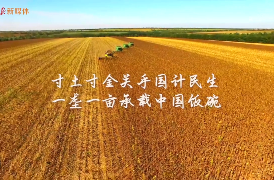 总书记的关切·落地的回响 | 保护黑土地 大国粮仓更稳固