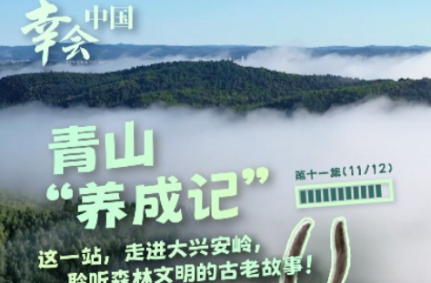 幸会中国 | 走进大兴安岭，见证生态兴文明兴的力量