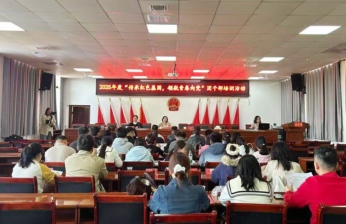 传承红色基因！汨罗团市委举办团干部培训主题活动