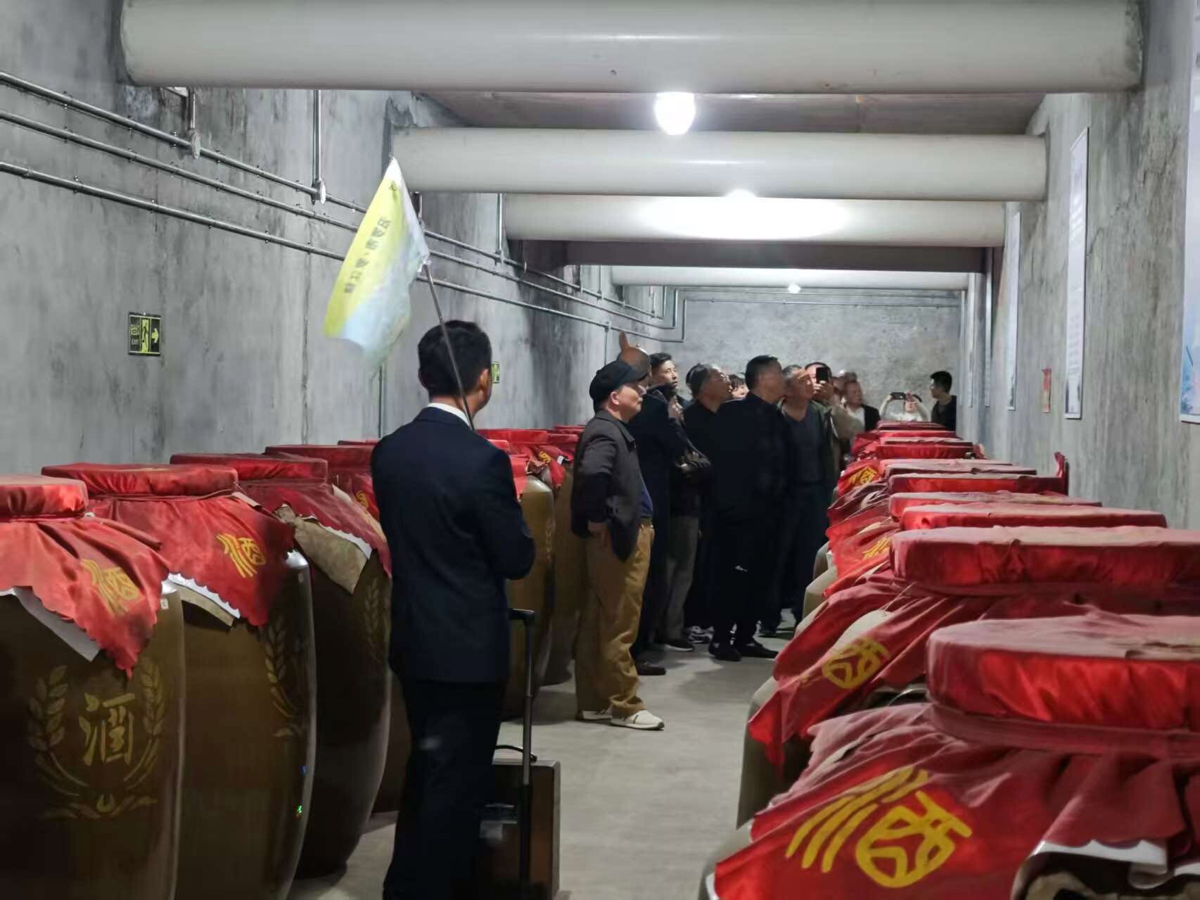 罗江镇：干部当导游，“银龄” 乐享和美乡村