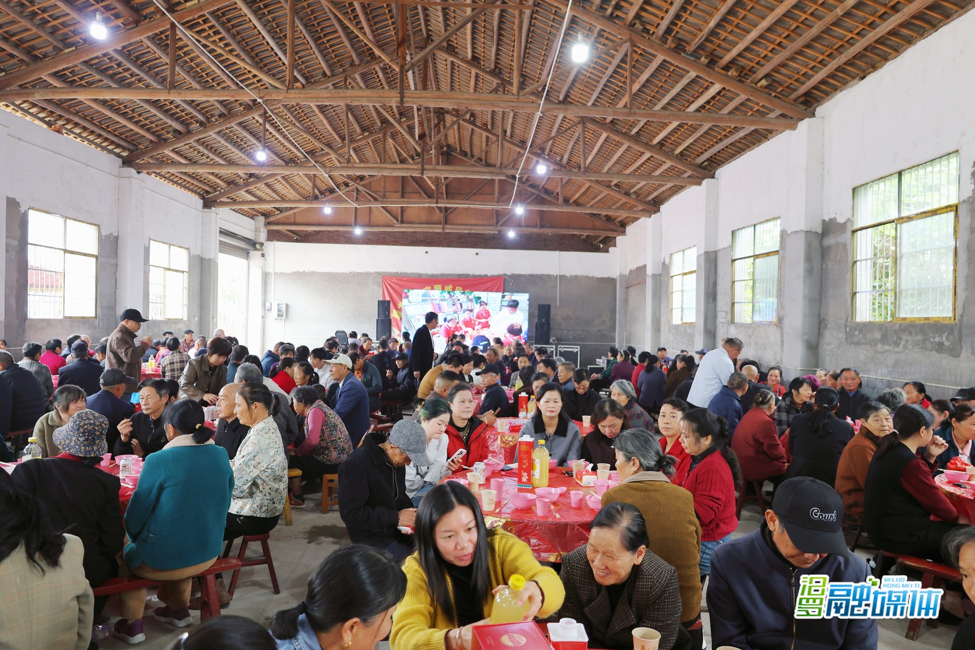 汨罗镇蟠龙桥村：500余老人共庆重阳 老年协会22载守护银发幸福