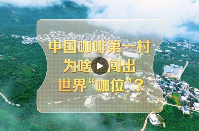改革者 正青春｜中国咖啡第一村为啥能闯出世界“咖位”？